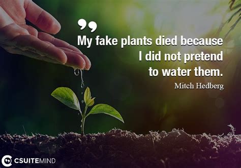 you stood by and watched me water a fake plant|My fake plants died because I did not pretend to water them. .